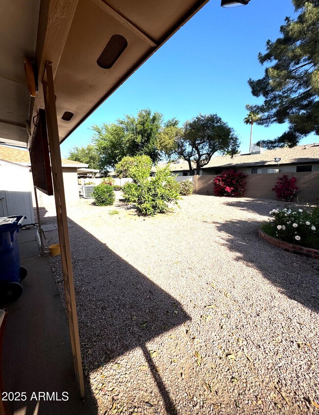 Backyard