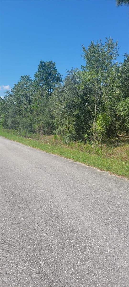 0 SW Big Bear Ridge unit MFROM707358, Dunnellon, FL 34432 - photo 2