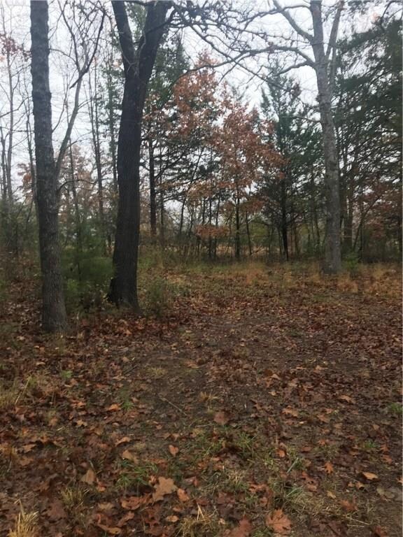 16281 E Black Oak Rd, Fayetteville, AR 72701 - photo 6