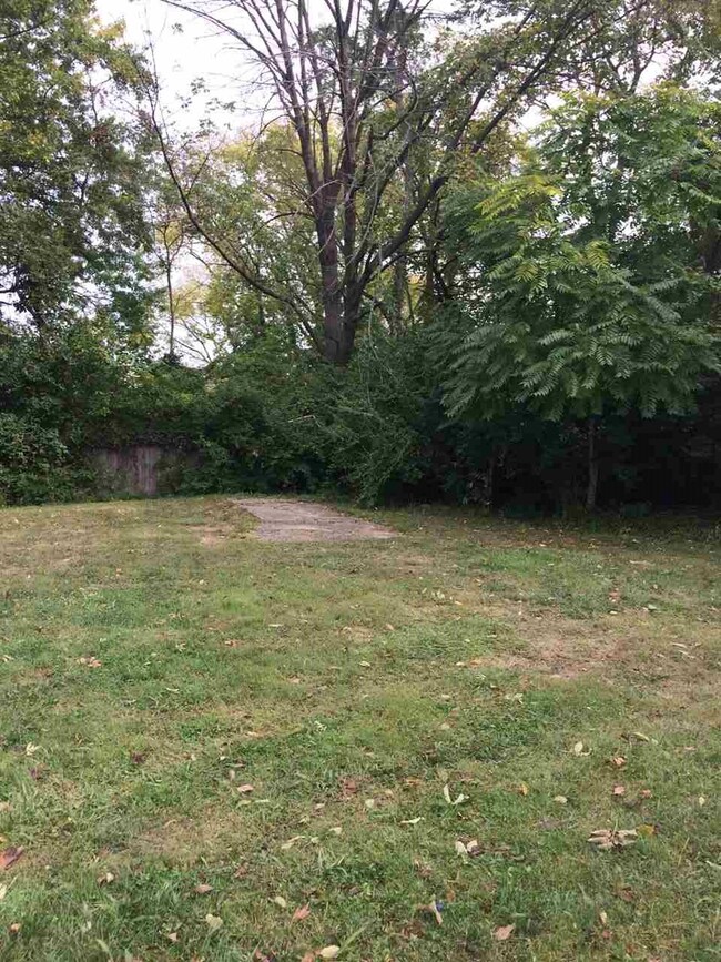 603 E. Miller Dr. - Back Yard