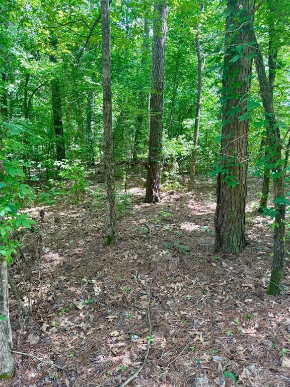 125 Pawpaw Trail, Broken Bow, OK 74728 - photo 3