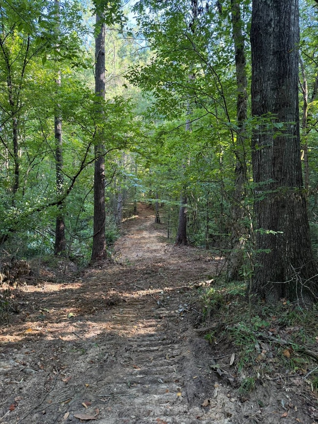 000 Pleasant Ridge Rd, Hickory, MS 39332 - photo 5