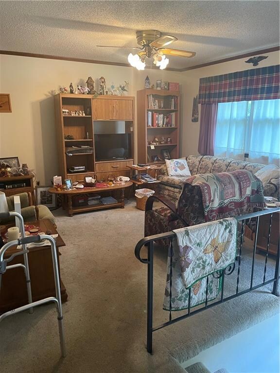 604 N Harrison St, Spring Hill, KS 66083 - photo 3