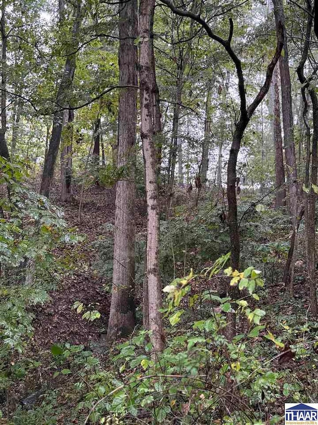 9540 N Bowman Rd, Gosport, IN 47433 - photo 4