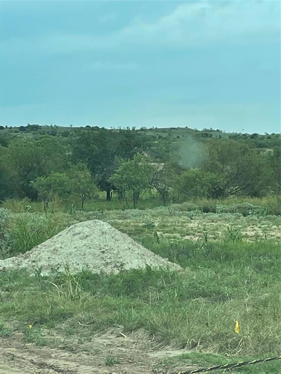 100 Tobiano Trace, Brock, TX 76087 - photo 3