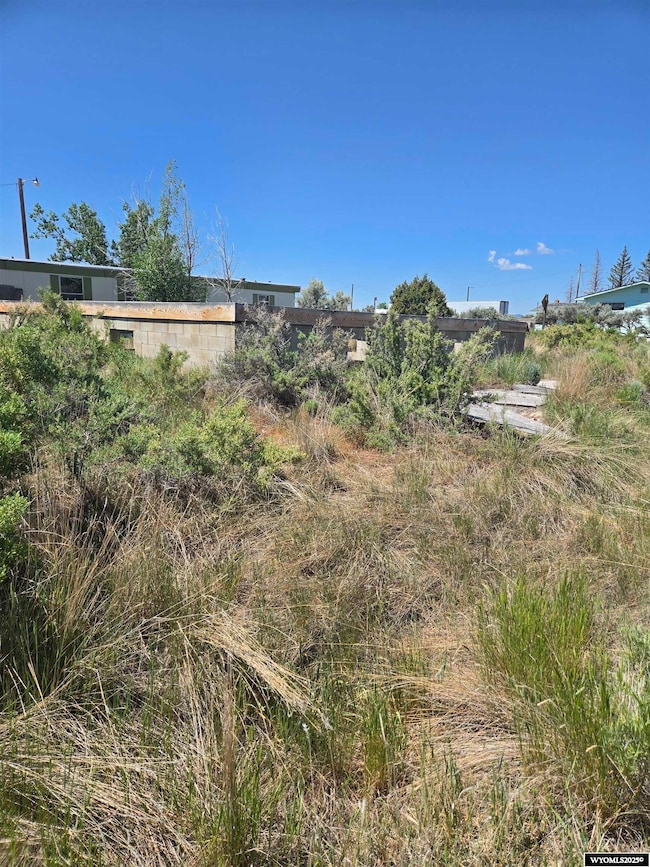 219 E 3rd Ave, La Barge, WY 83123 - photo 4
