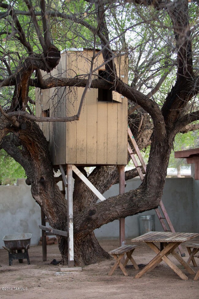 Treehouse 4007
