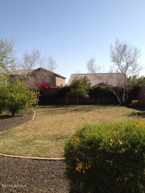 yard