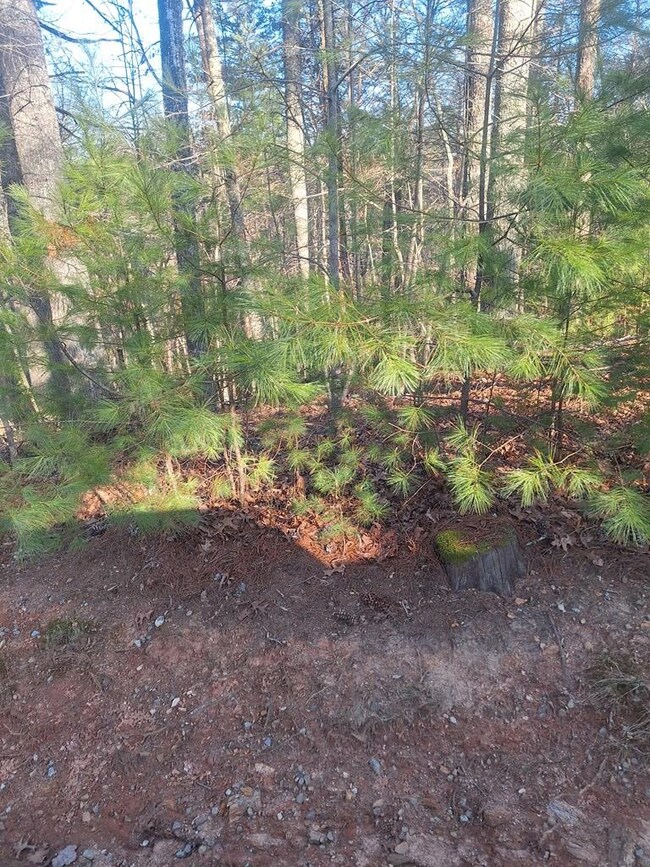 0 Toccoa River Ln unit 402049, Mineral Bluff, GA 30559 - photo 3