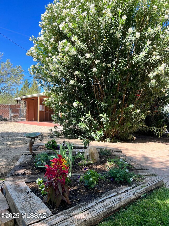 full foliage pictures