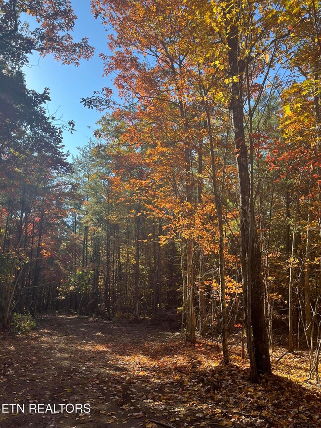 101 Cherokee Path, Tellico Plains, TN 37385 - photo 7