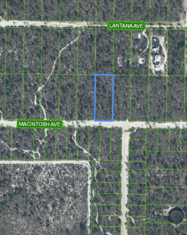 2132 Mcintosh Ave, Sebring, FL 33875 - photo 3
