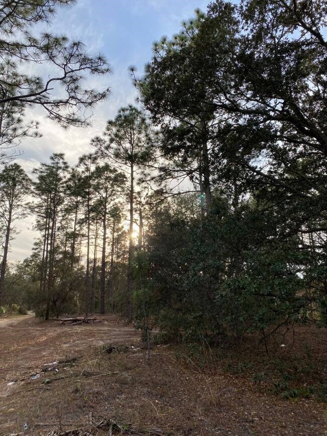 0 SW 209 Ct unit 781005, Dunnellon, FL 34431 - photo 4