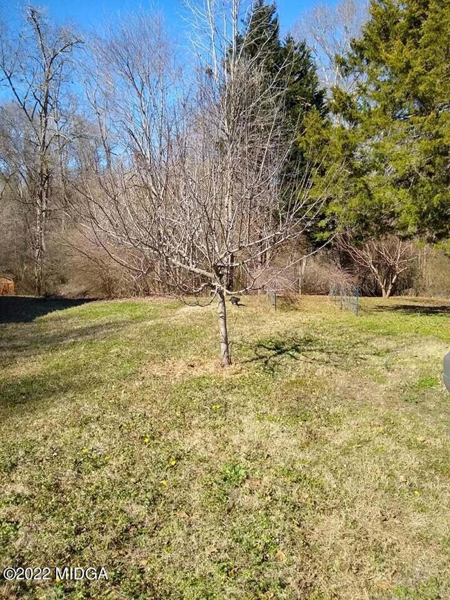 appletree