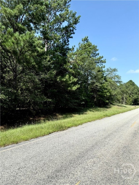 0 Best Bridge Rd unit SA336787, Sylvania, GA 30467 - photo 4