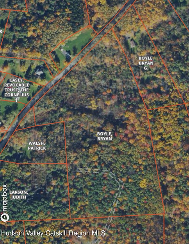 308 Shady Glen Rd, East Durham, NY 12423 - photo 2