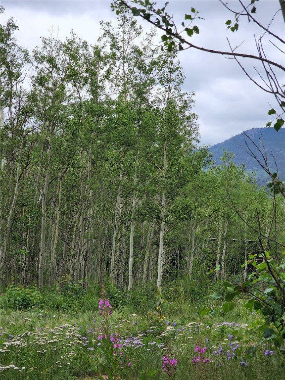 528 Glacier Peak View Rd, Jefferson, CO 80456 - photo 6