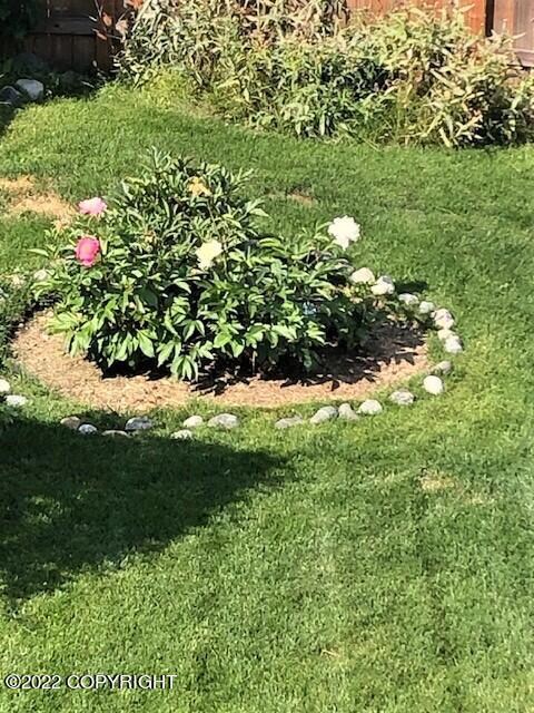 Landscaped yard