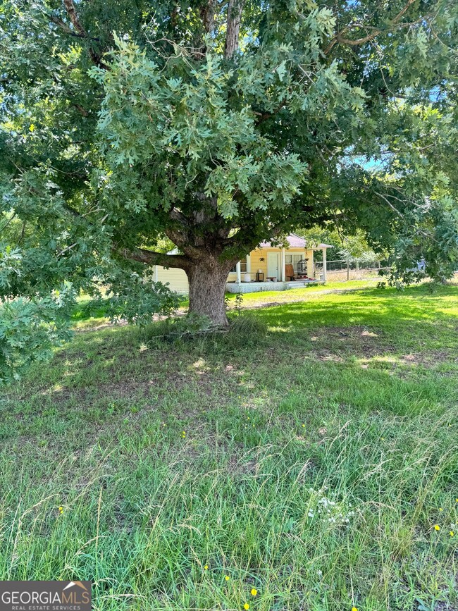 2883 Highway 441 S, Commerce, GA 30529 - photo 5