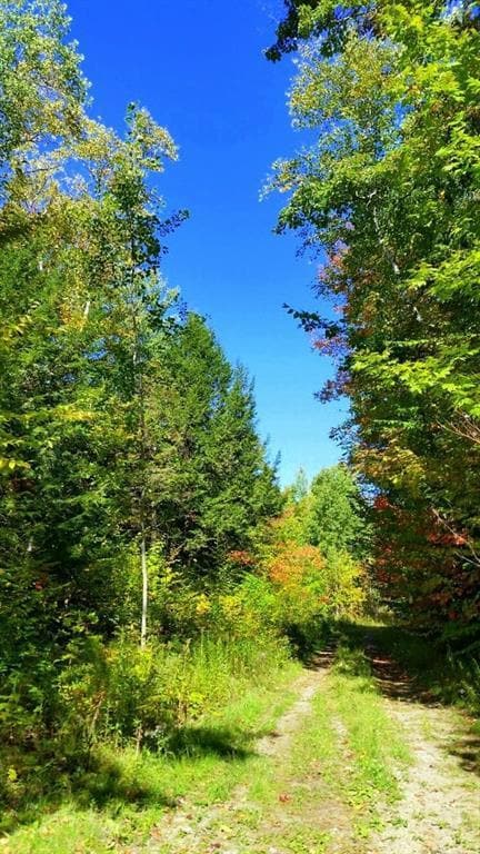 Each gravel road is approx. 1/2 mile...