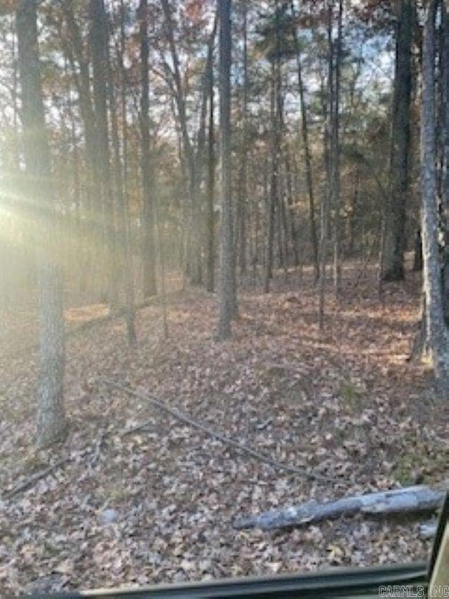 0 Rustic Hills Trail unit 25046619, Royal, AR 71968 - photo 5