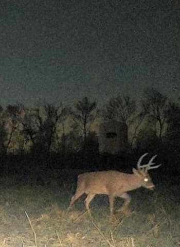 0 Interstate 49, Alexandria, LA 71302 - photo 7