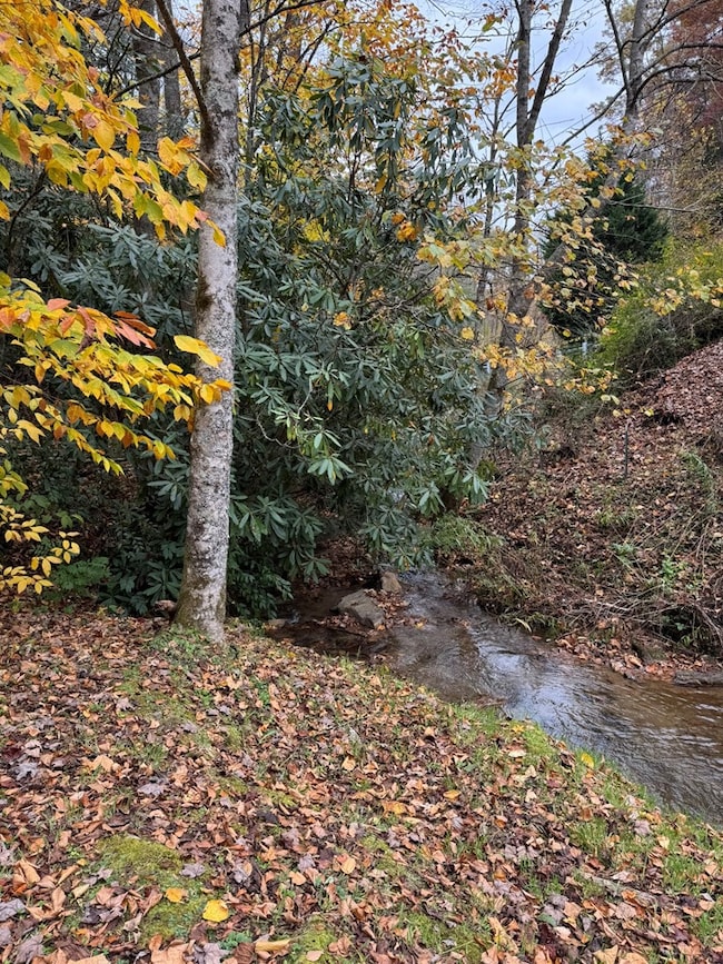 00 Pumpkintown Rd, Sylva, NC 28779 - photo 6