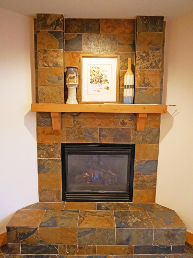 BCL 208 Fireplace