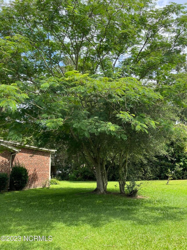 2401 Letchworth Cir, Winterville, NC 28590 - photo 7