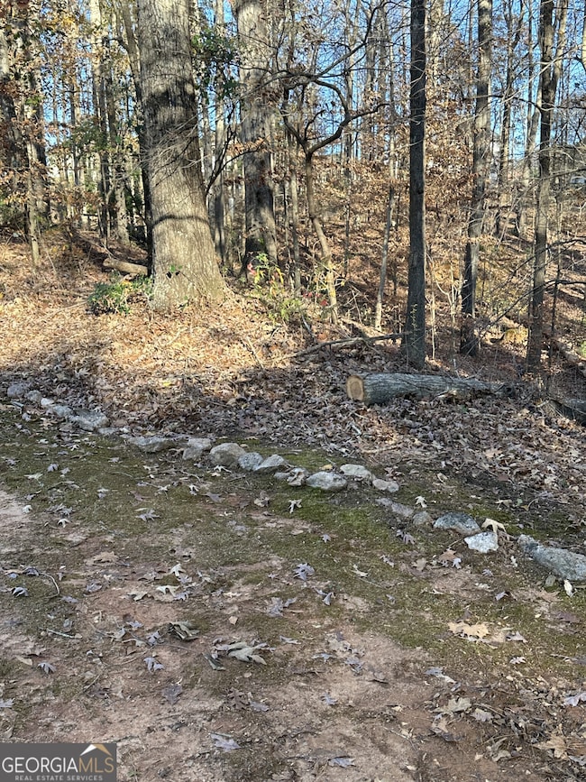 1038 Plantation Blvd SE, Conyers, GA 30094 - photo 5