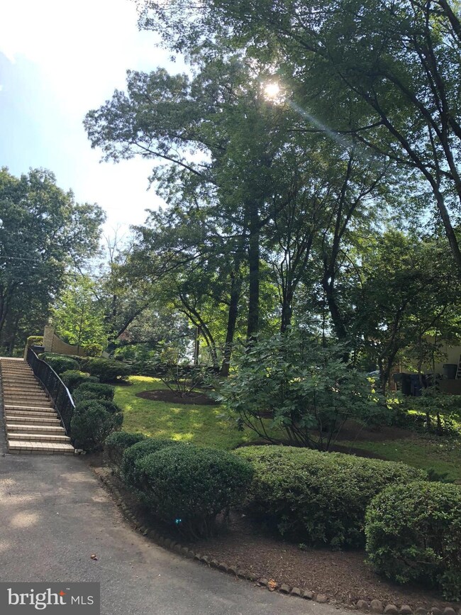 6220 Lakeview Dr, Falls Church, VA 22041 - photo 5