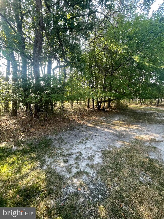 2094 Llewellyn Pkwy, Forked River, NJ 08731 - photo 5