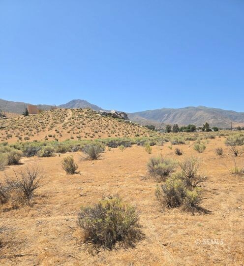 426-390-13 Bella Vista, Weldon, CA 93283 - photo 6