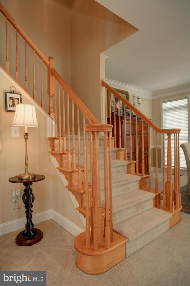 25824 Turlough Terrace, Chantilly, VA 20152 - photo 6