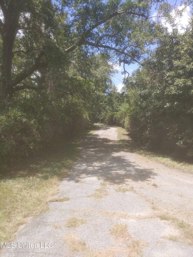 6372 Pavolini Rd, Pass Christian, MS 39571 - photo 6