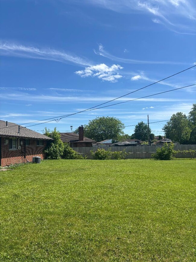 Backyard 3