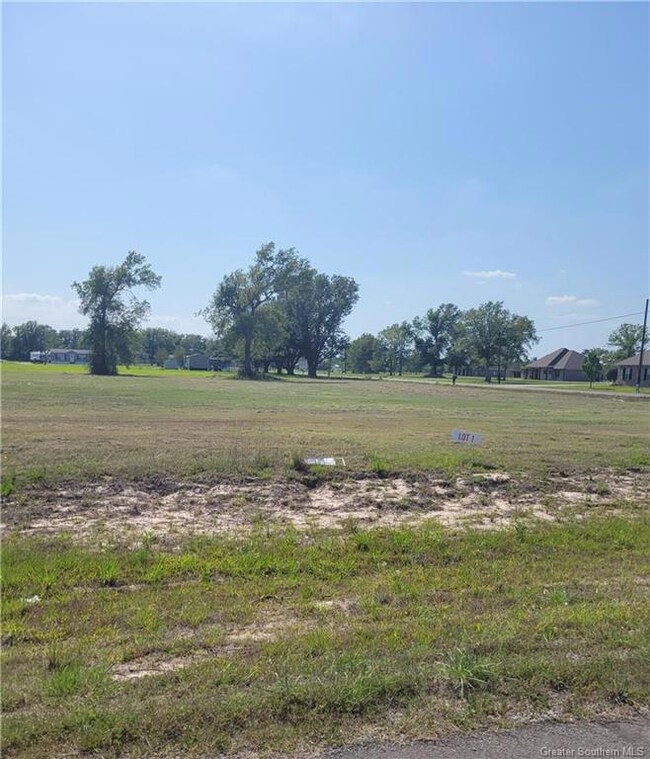 0 Talon Ln unit SWL22007918, Lake Charles, LA 70611 - photo 4