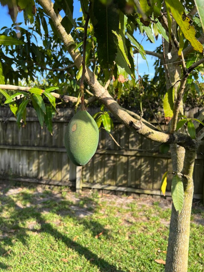 9550 Ohio Place, Boca Raton, FL 33434 - photo 6