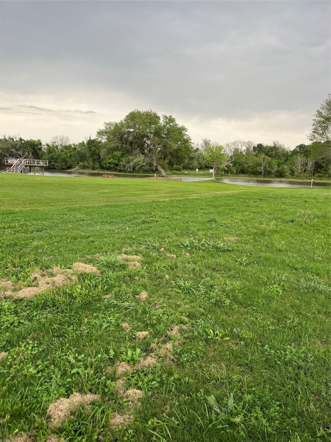 1175 Riverview Ranch Dr, Brazoria, TX 77422 - photo 7
