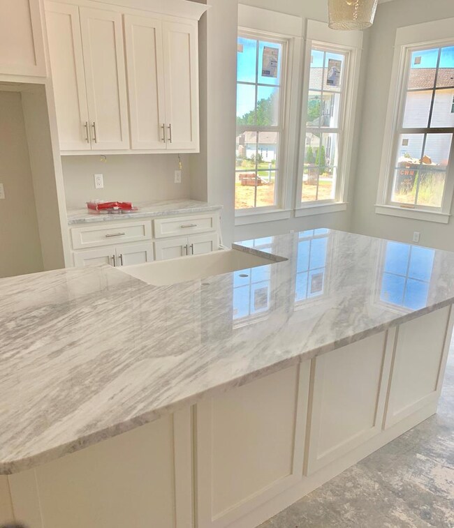 9013 Coatbridge Dr, Oxford, MS 38655 - photo 4