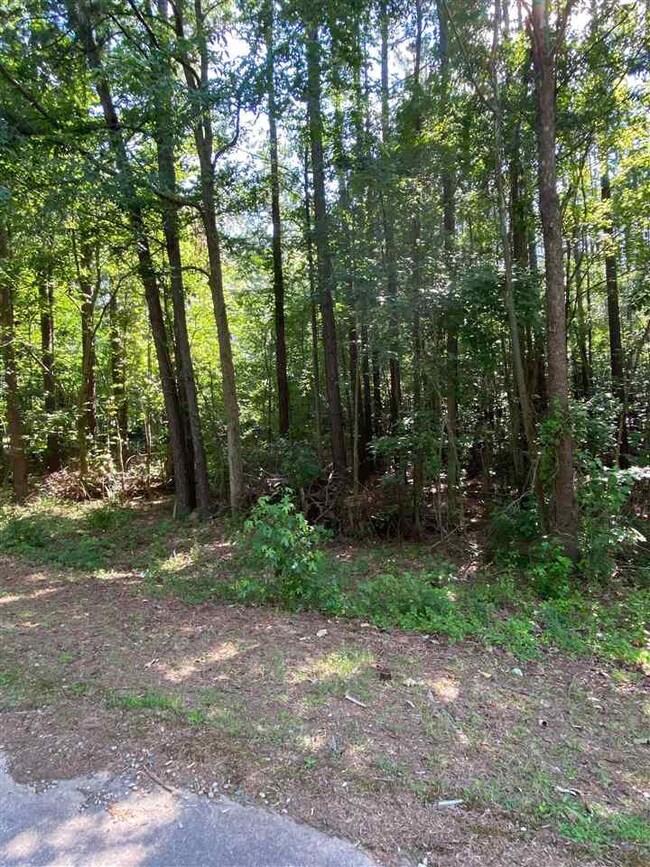 6675 Briarwood Dr, Oxford, NC 27565 - photo 7