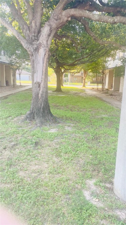 View of green lawn