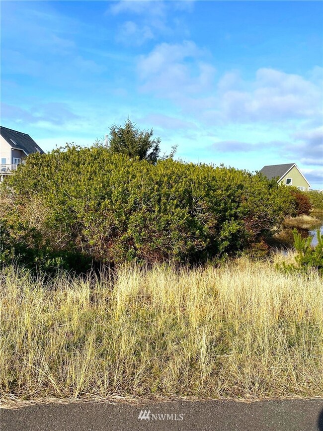 438 S Bel Air Loop SW, Ocean Shores, WA 98569 - photo 5