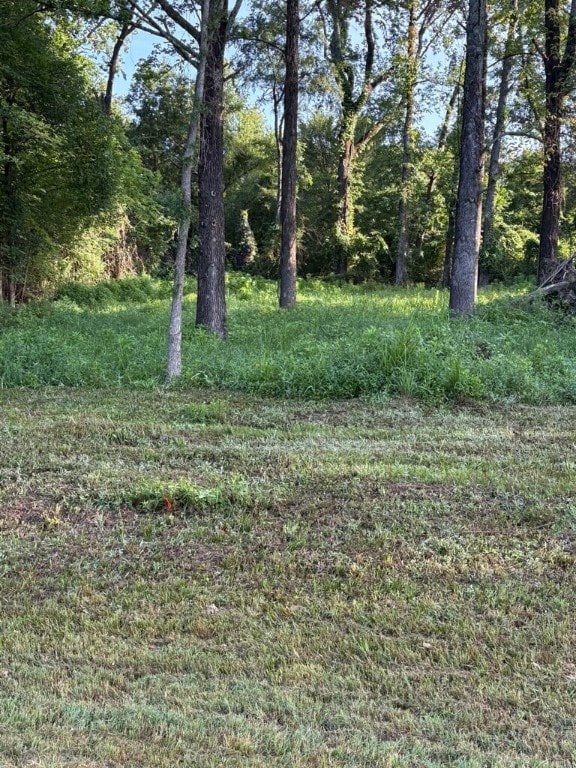 2824 Damask Ln, Alma, AR 72921 - photo 7