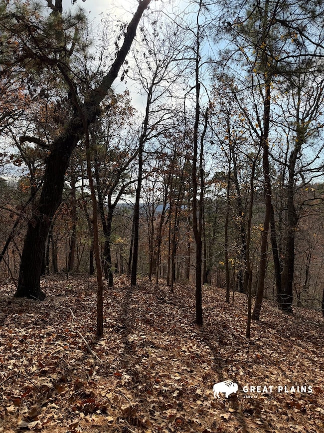 13154 Horse Shoe Cir, Chewey, OK 74347 - photo 5