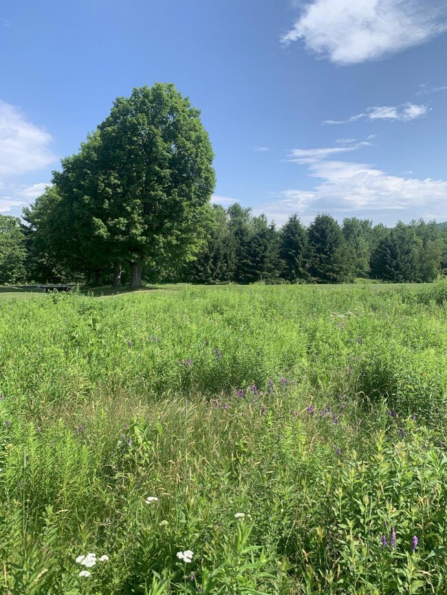 M2 L16-3 Notch Rd, Skowhegan, ME 04976 - photo 3