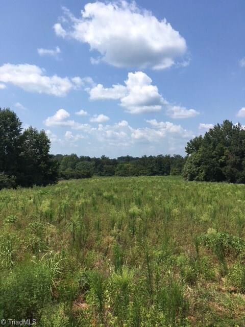 3555 Old Bachelor Creek Rd, Seagrove, NC 27341 - photo 4