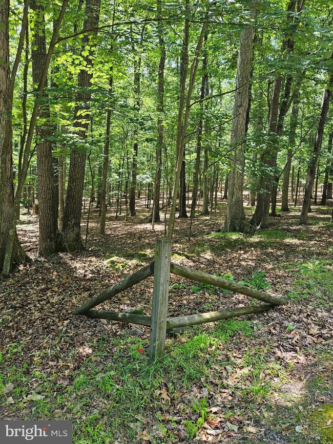 1631 Sideling Mountain Trail, Great Cacapon, WV 25422 - photo 3