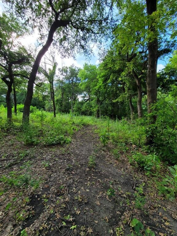 235 Clay Ct, Springtown, TX 76082 - photo 4