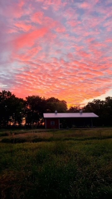 31 El Dorado Dr, Friendswood, TX 77546 - photo 3